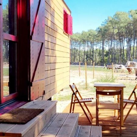 Roulottes Cocooning Au Coeur Des Landes Otel Mées Dış mekan fotoğraf
