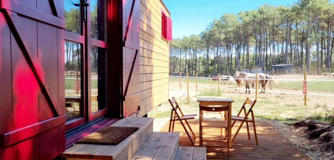 Roulottes Cocooning Au Coeur Des Landes Otel Mées Dış mekan fotoğraf