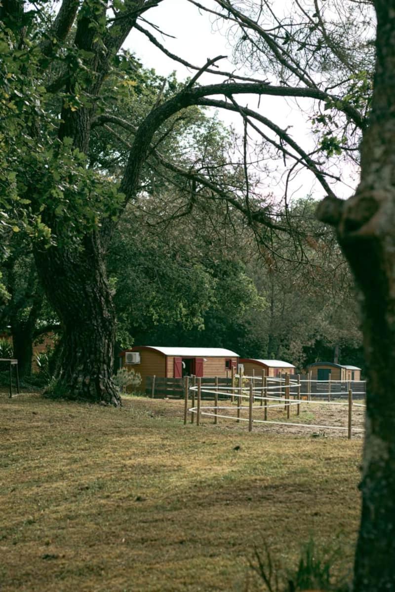 Roulottes Cocooning Au Coeur Des Landes Otel Mées Dış mekan fotoğraf