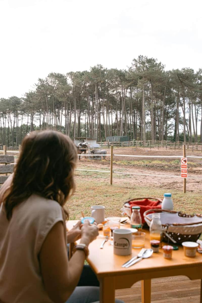 Roulottes Cocooning Au Coeur Des Landes Otel Mées Dış mekan fotoğraf