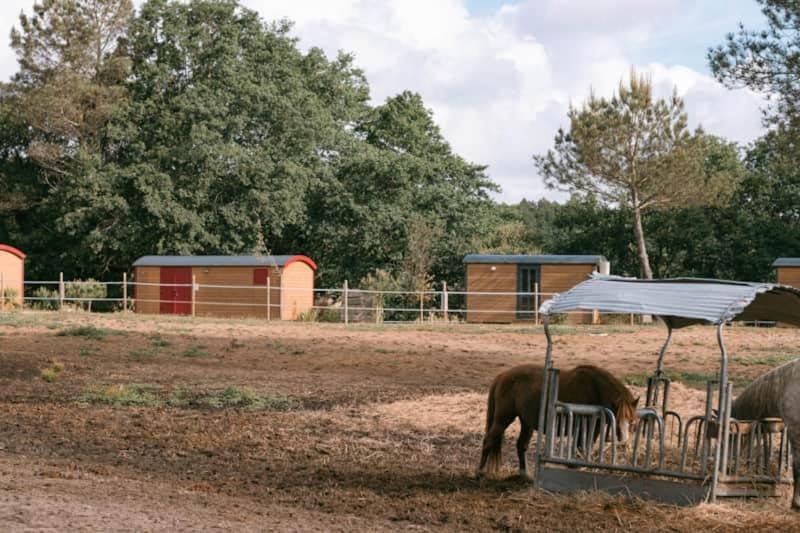 Roulottes Cocooning Au Coeur Des Landes Otel Mées Dış mekan fotoğraf